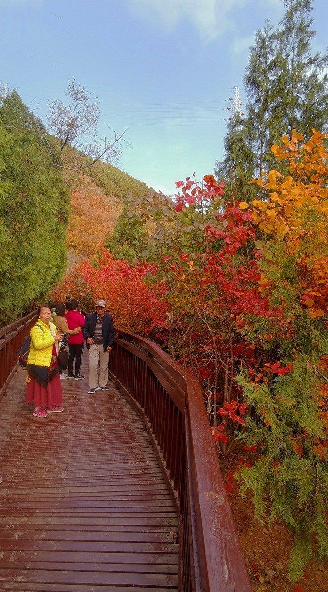 雁栖湖西山步道秋色美!
