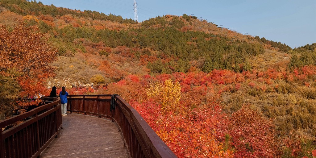 雁栖湖西山步道秋色美!