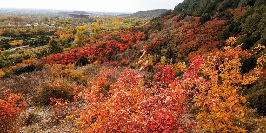雁栖湖西山步道秋色美!