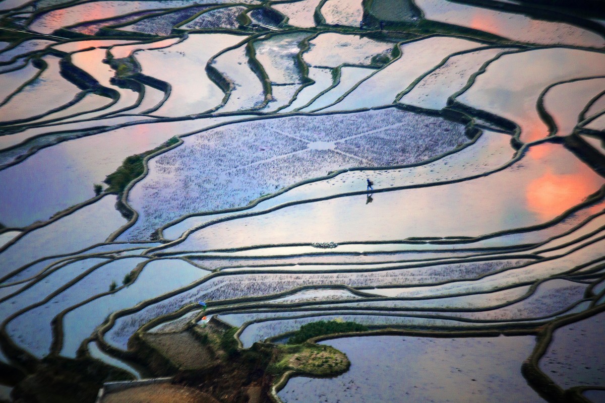 云南多依树梯田1