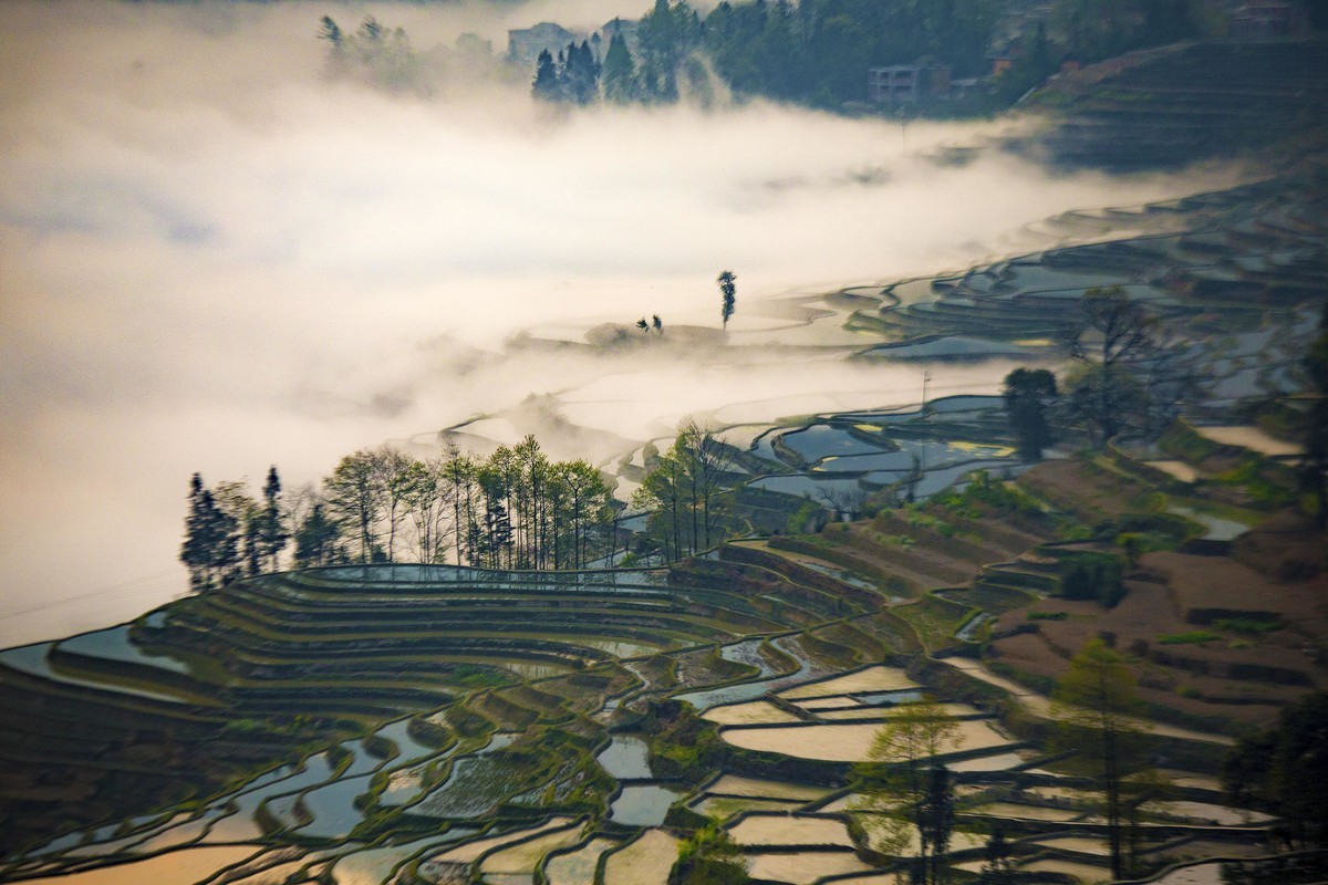 云南多依树梯田1