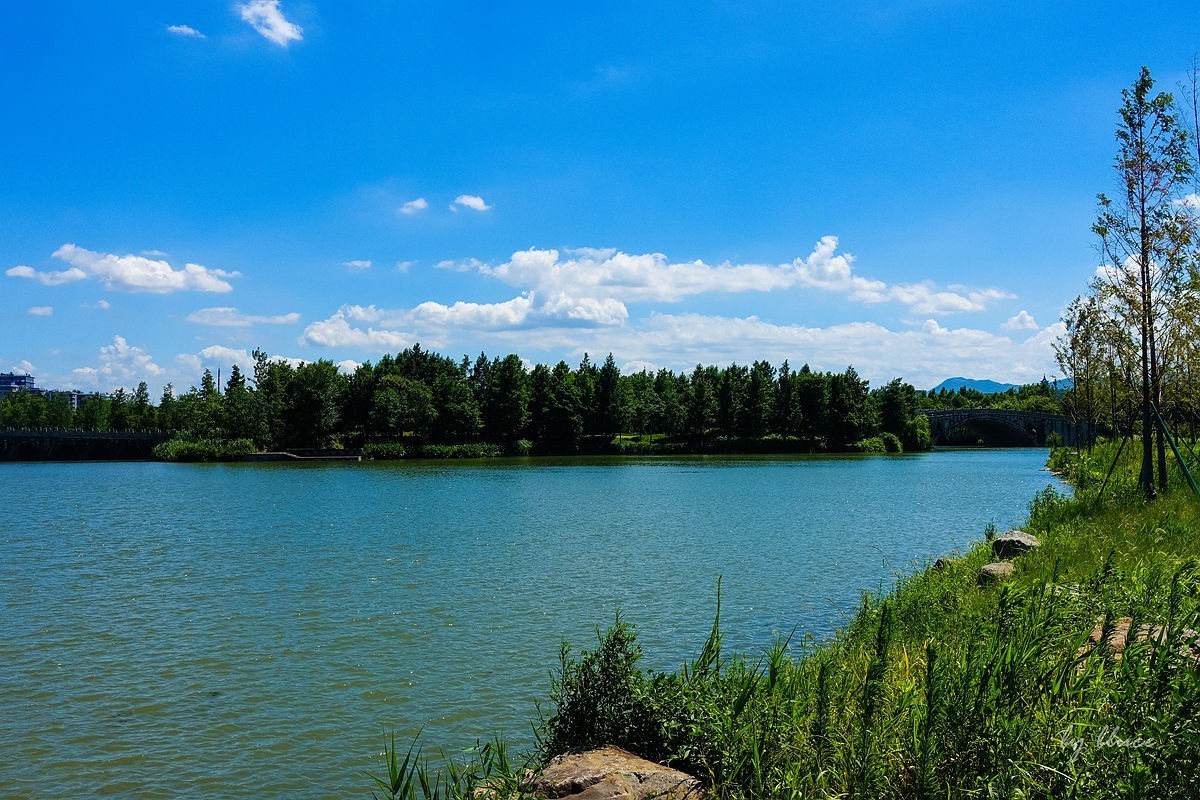 夏日湘湖（12）