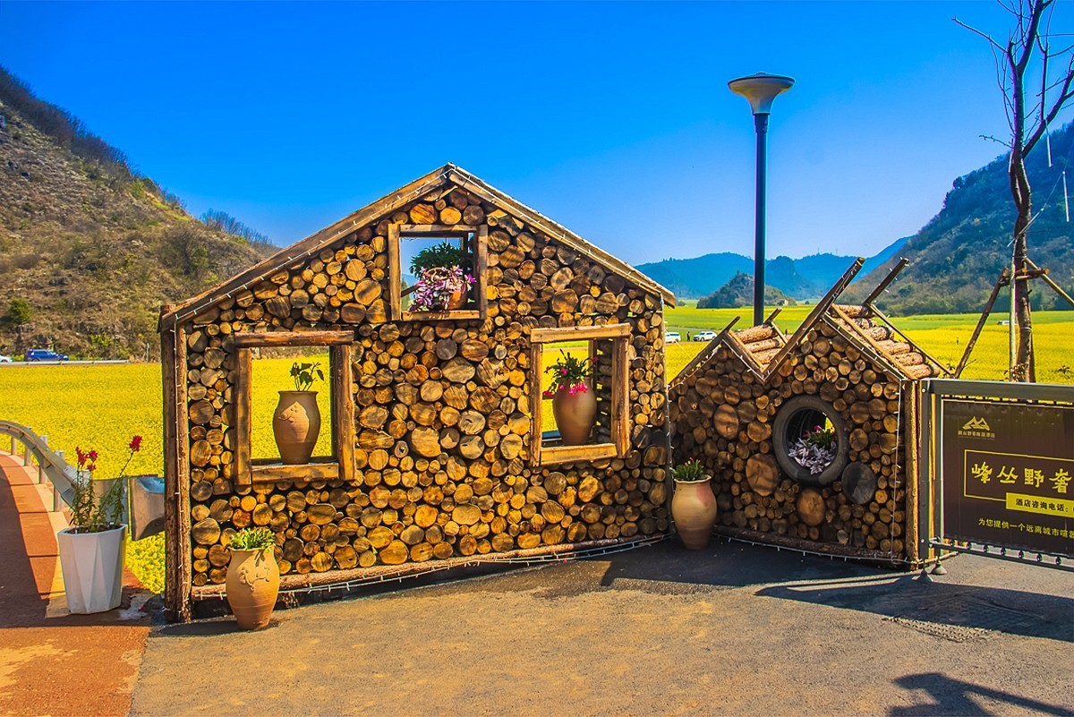 2024-10-05云南罗平金鸡峰油菜花海（九）