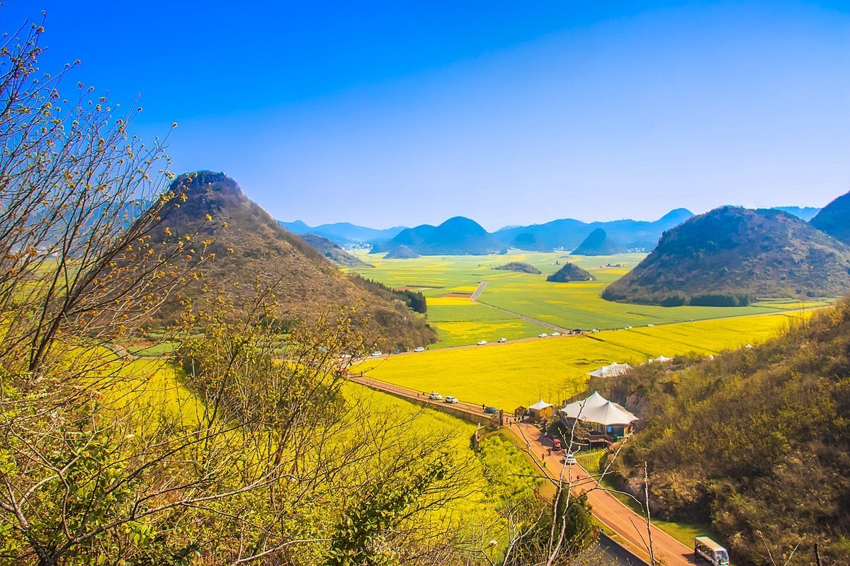 2024-10-05云南罗平金鸡峰油菜花海（九）