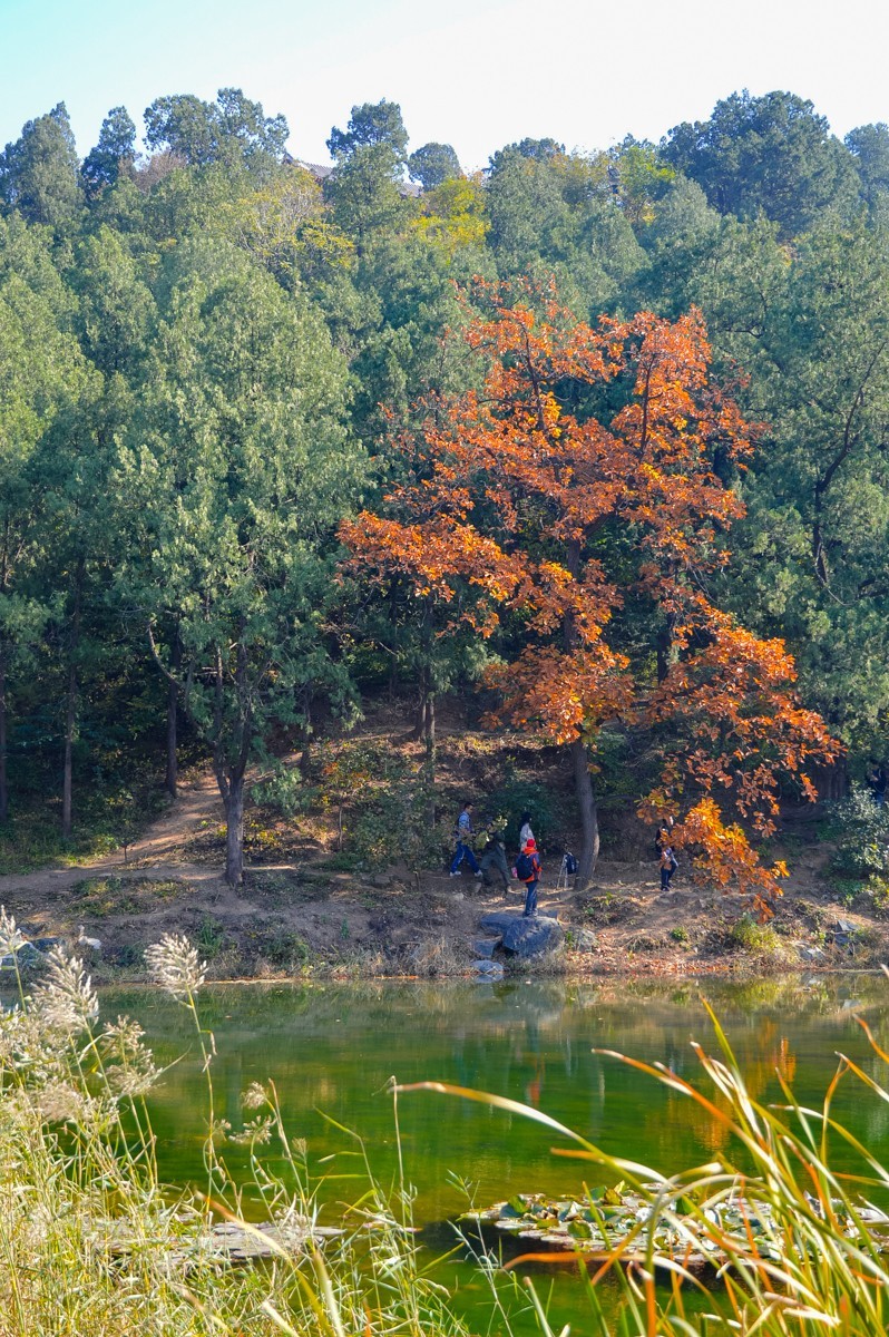 北京公园随拍-0925-5