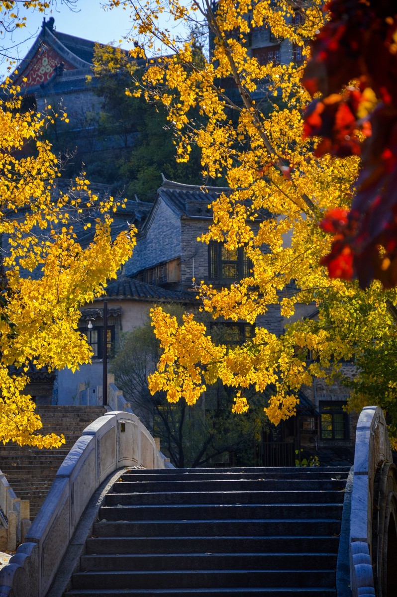 北京公园随拍-0925-5