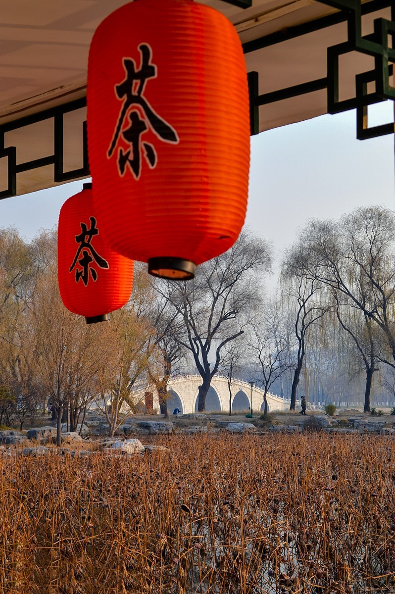 北京公园随拍-0925-5