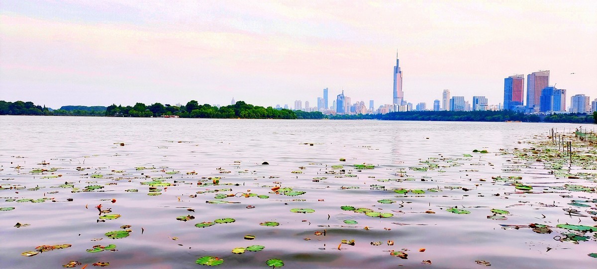 景观  1