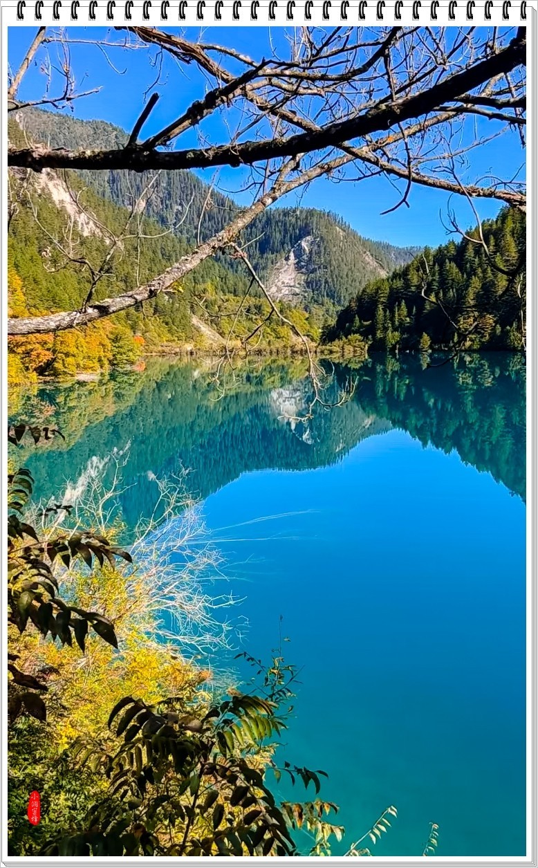 2022年九寨沟随拍-61