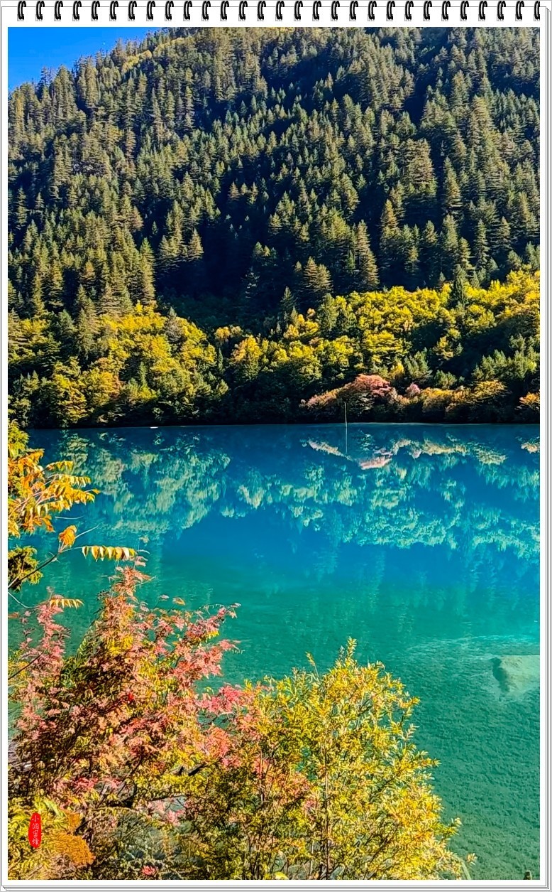 2022年九寨沟随拍-61