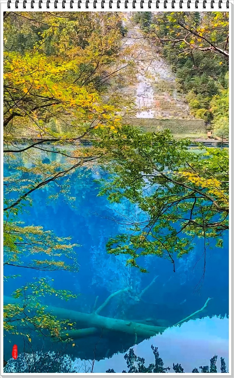 2022年九寨沟随拍-61