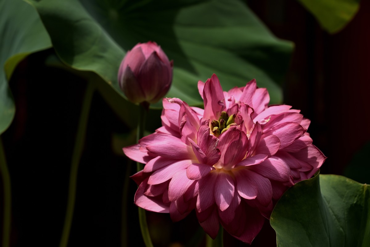 夏日新疆中部环线游拍——回到乌鲁木齐【终】