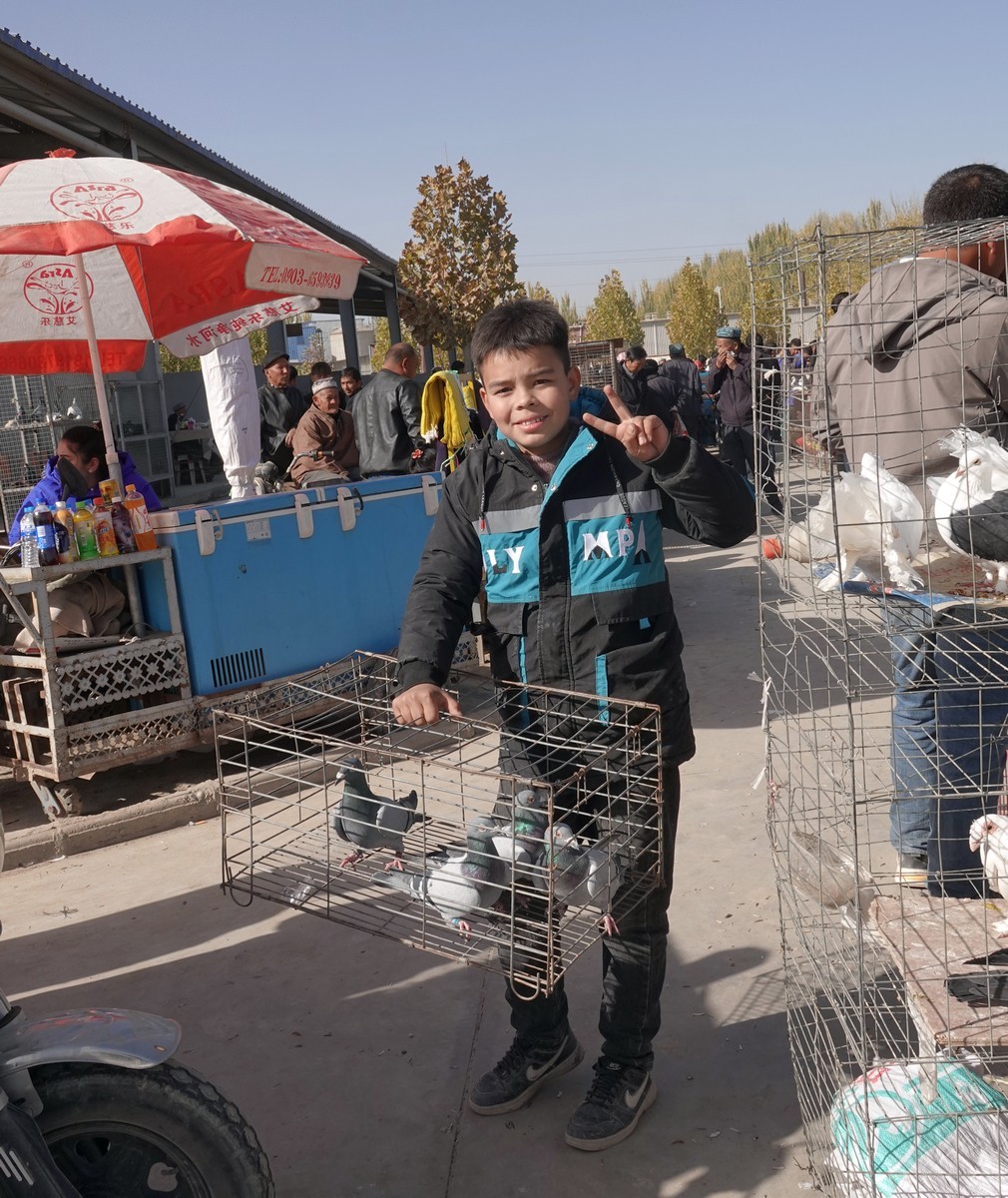 莎车牲畜大巴扎（2）--大牲畜区及其他