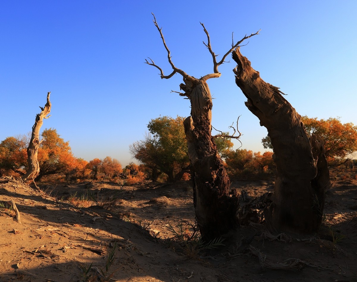 貌似进入了失落的世界（4）