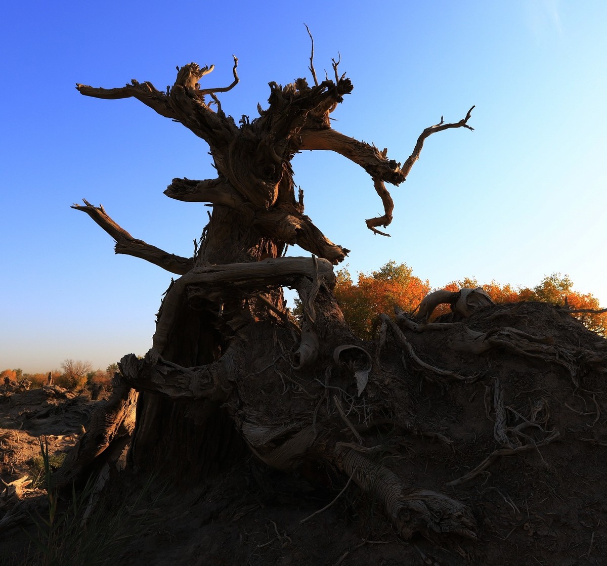 貌似进入了失落的世界（4）