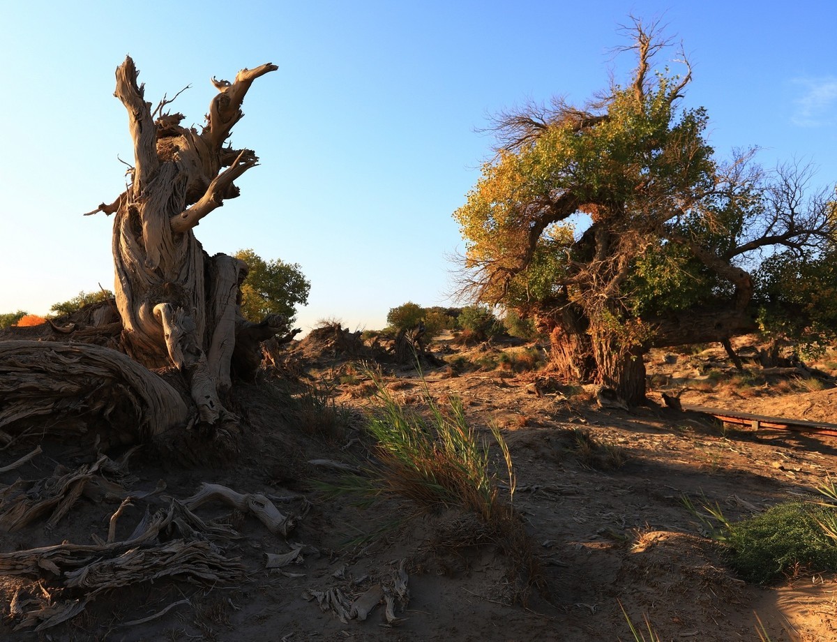 貌似进入了失落的世界（4）