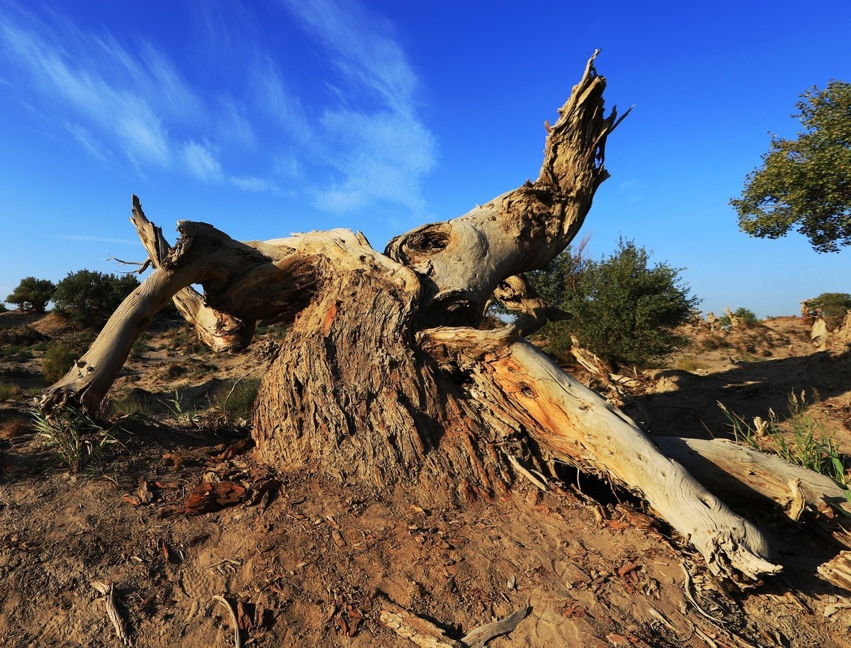 貌似进入了失落的世界（4）