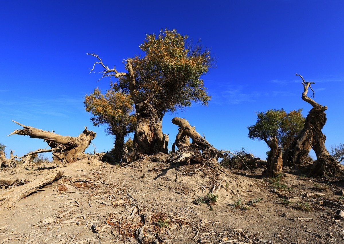 貌似进入了失落的世界（4）