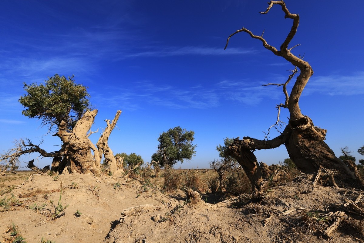 貌似进入了失落的世界（4）
