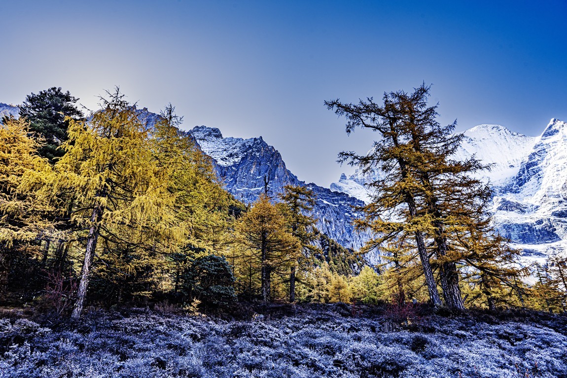 仙乃日--稻城亚丁三神山之首【6】