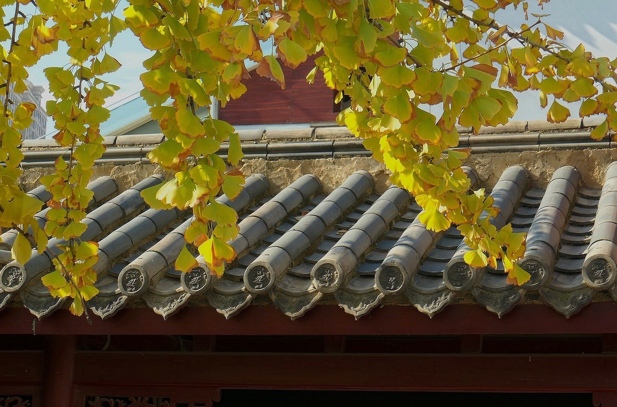 归元寺风光与银杏四