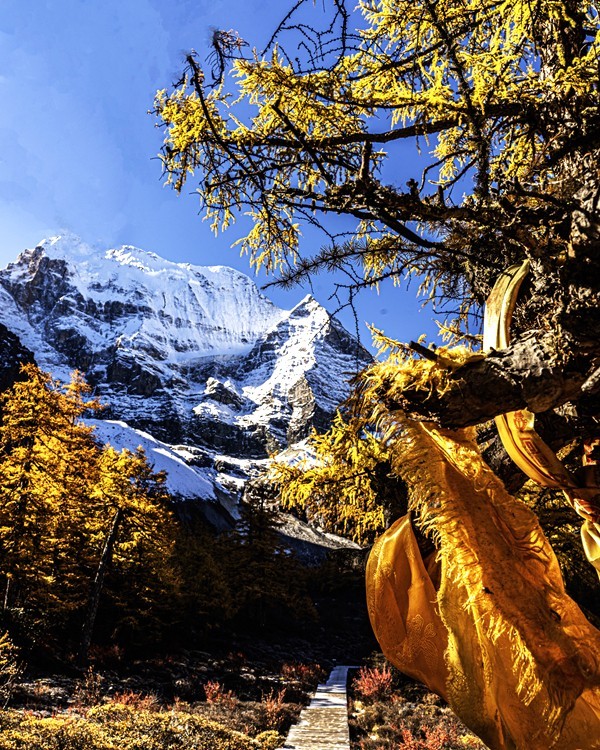 仙乃日--稻城亚丁三神山之首【6】