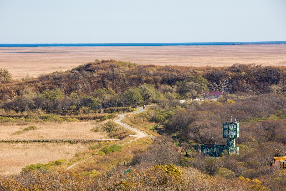 外出随拍（续316）.
