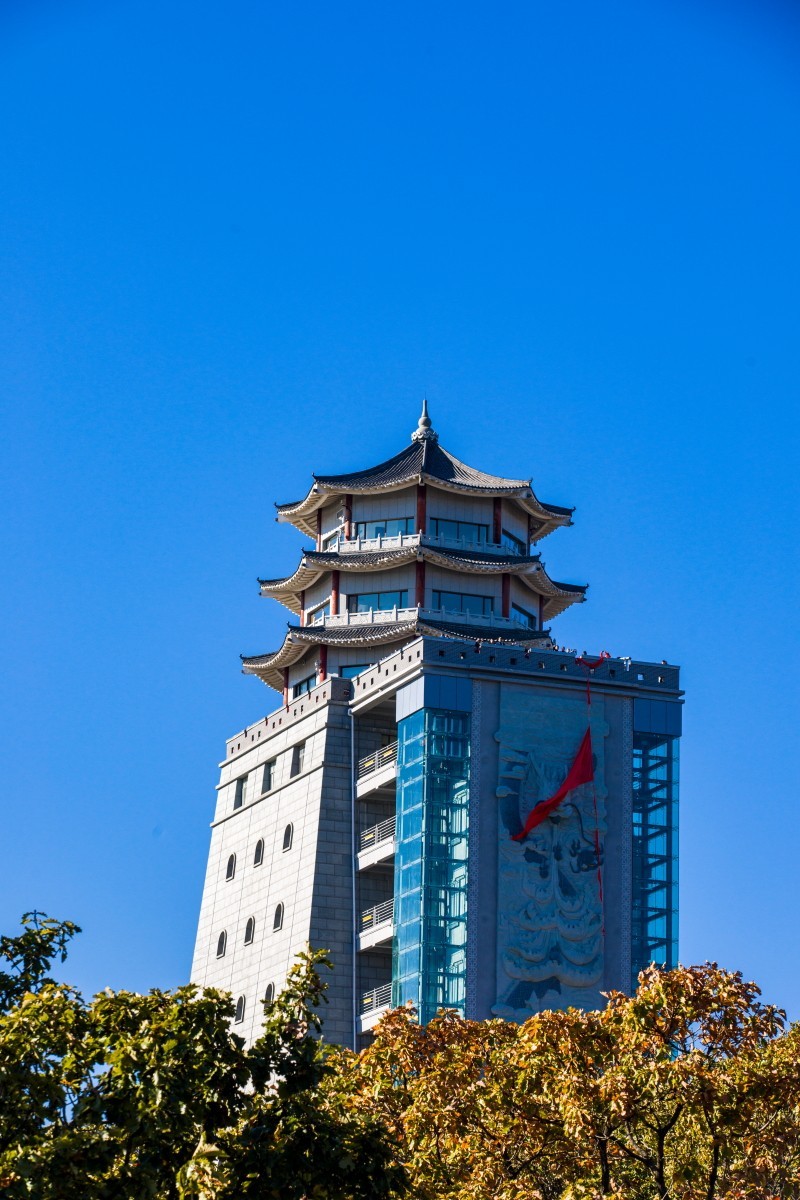 外出随拍（续316）.