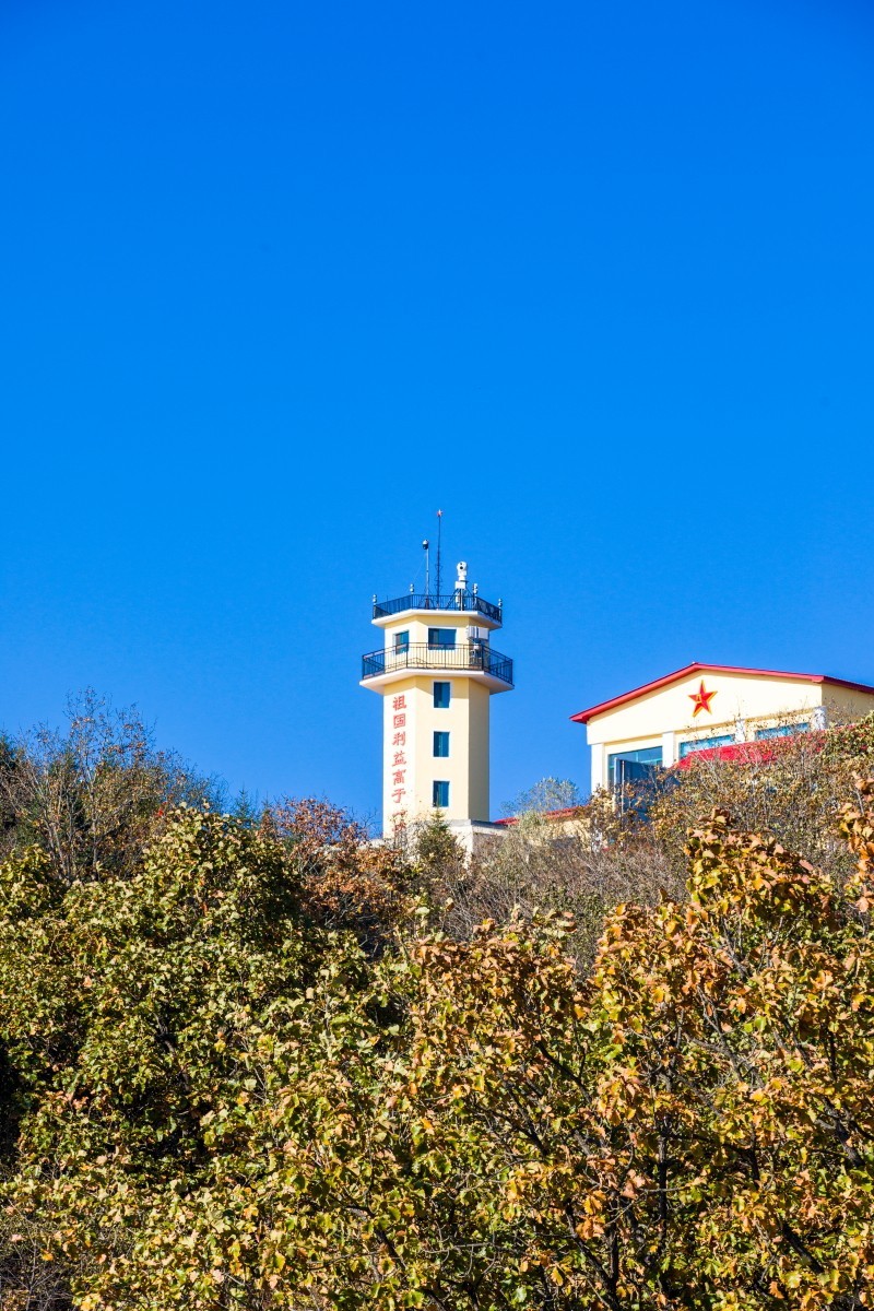 外出随拍（续316）.