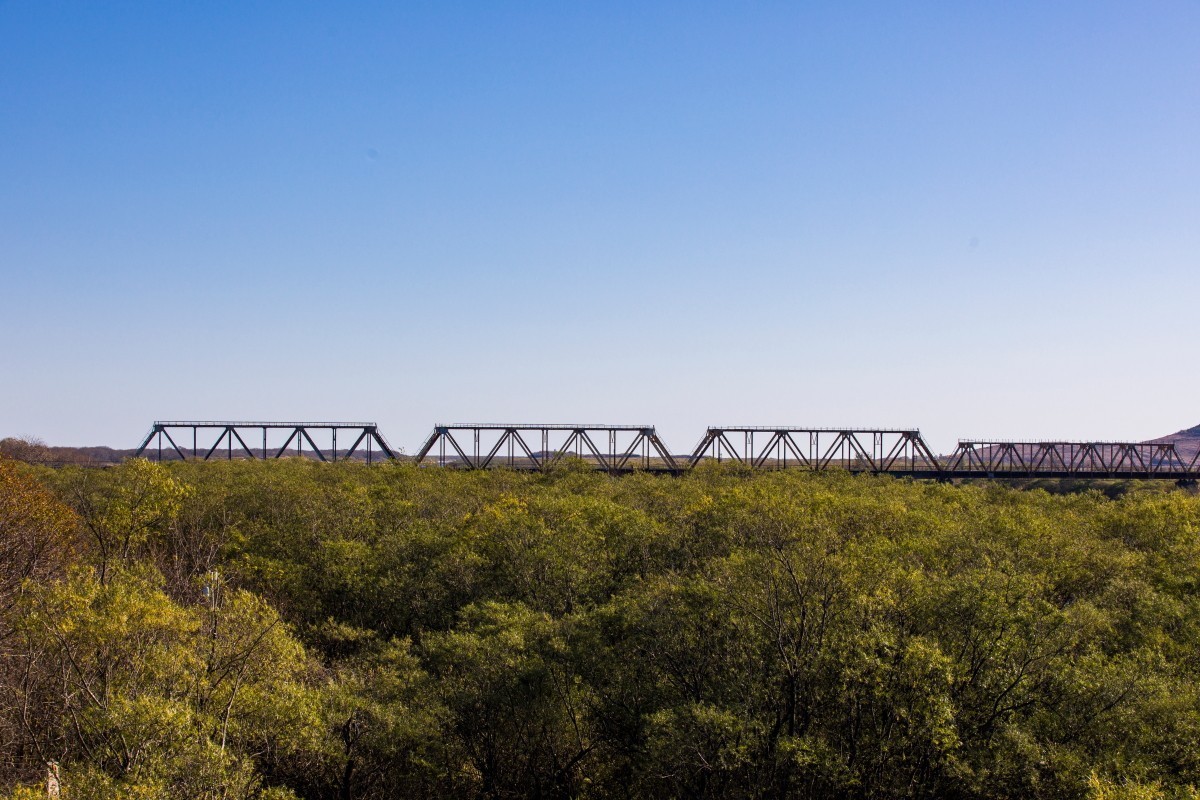 外出随拍（续316）.