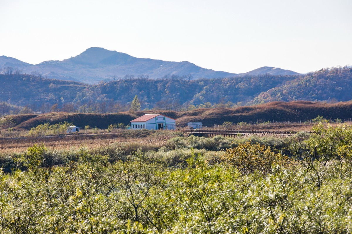 外出随拍（续316）.