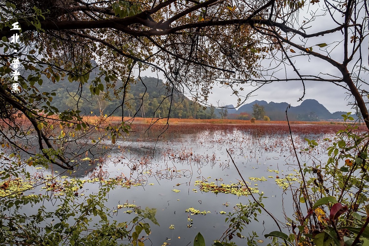 云南丘北 · 普者黑的田园风光（3）