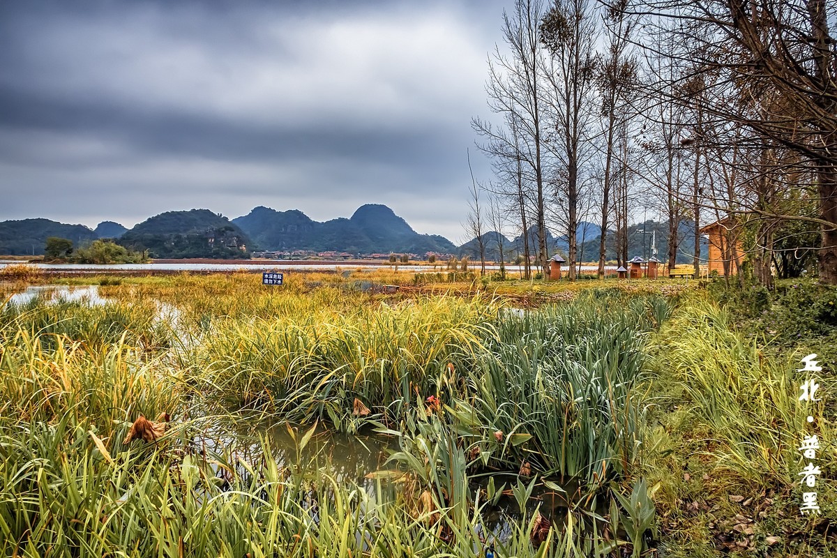 云南丘北 · 普者黑的田园风光（3）