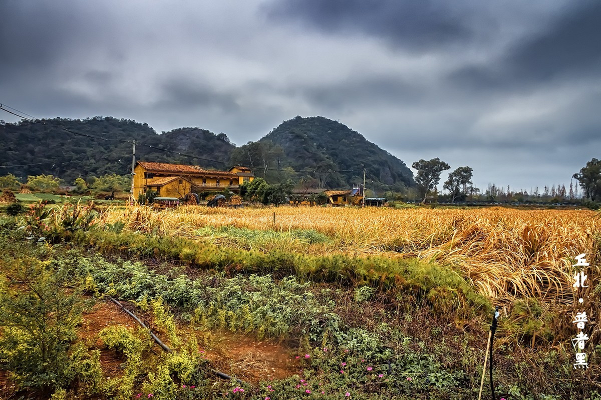 云南丘北 · 普者黑的田园风光（3）