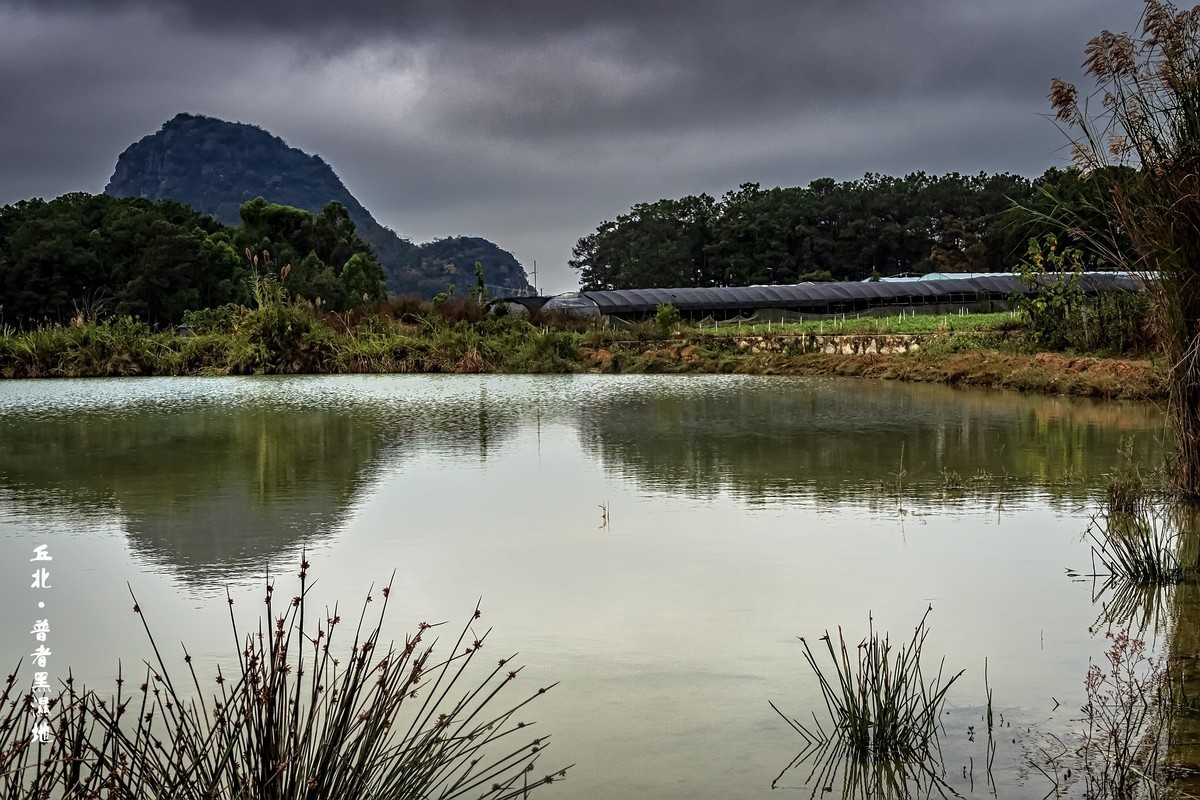 云南丘北 · 普者黑的田园风光（3）