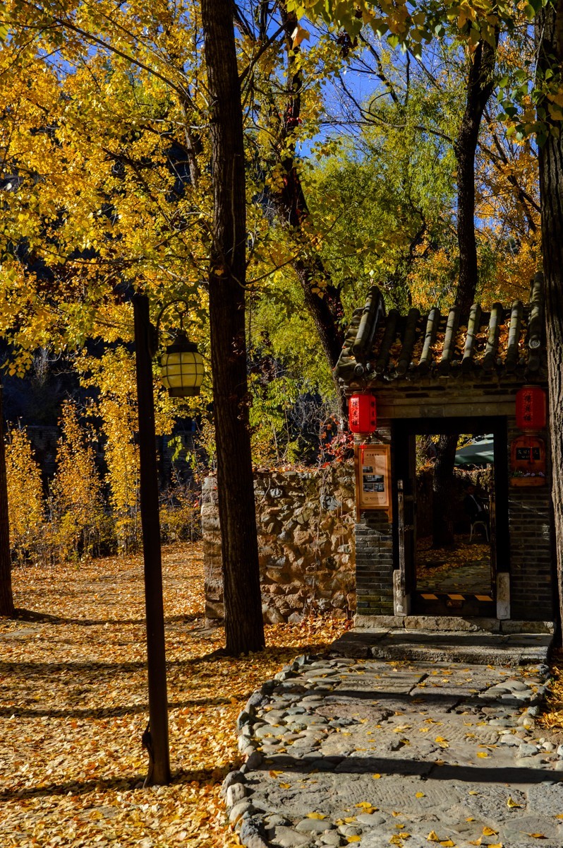 北京公园随拍-0925-5