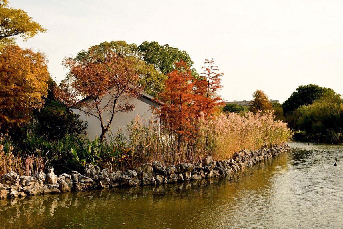 拍照狂魔之秋霜初染壹【12P】