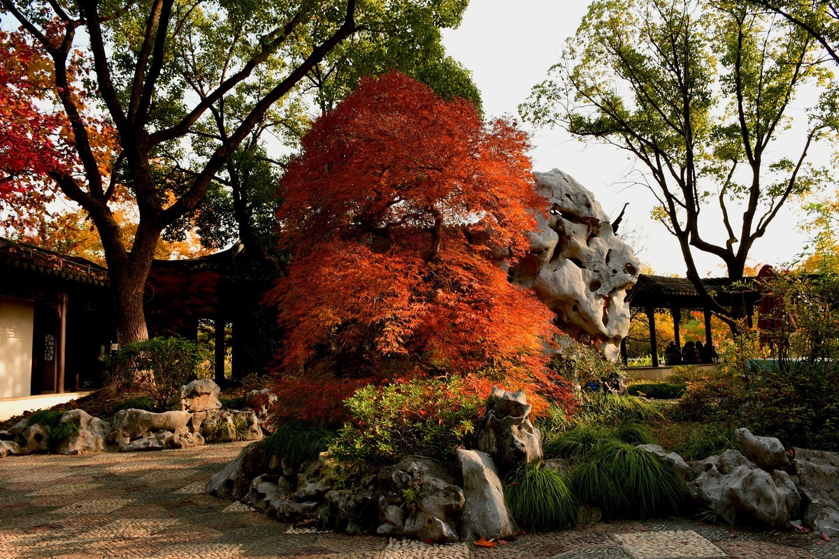 拍照狂魔之秋霜初染壹【12P】