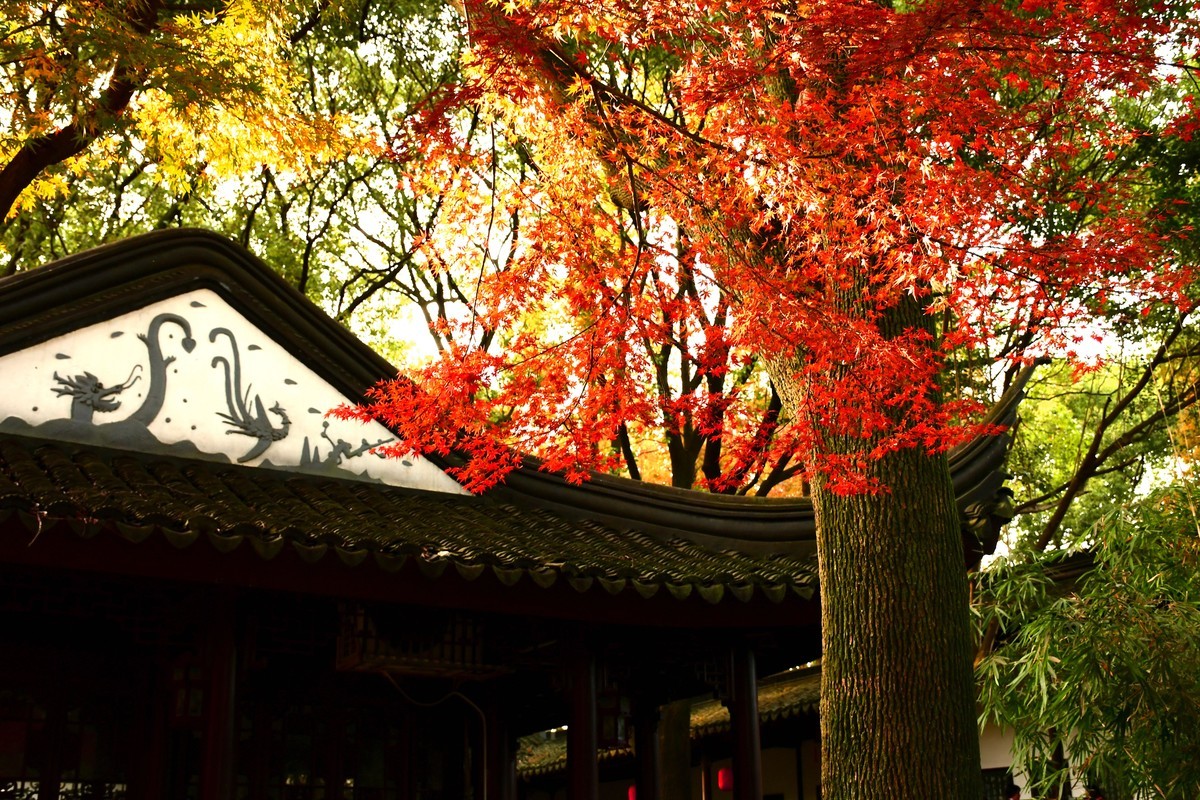 拍照狂魔之秋霜初染壹【12P】