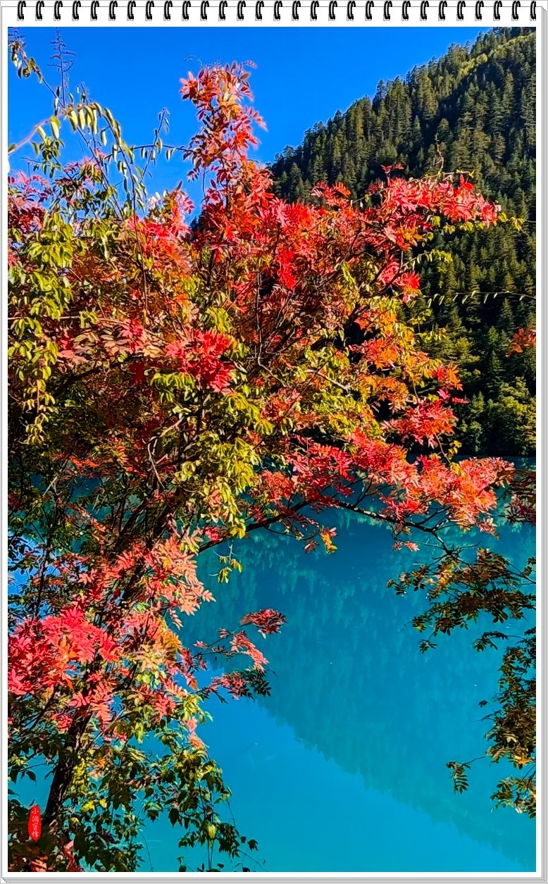 2022年九寨沟随拍-61