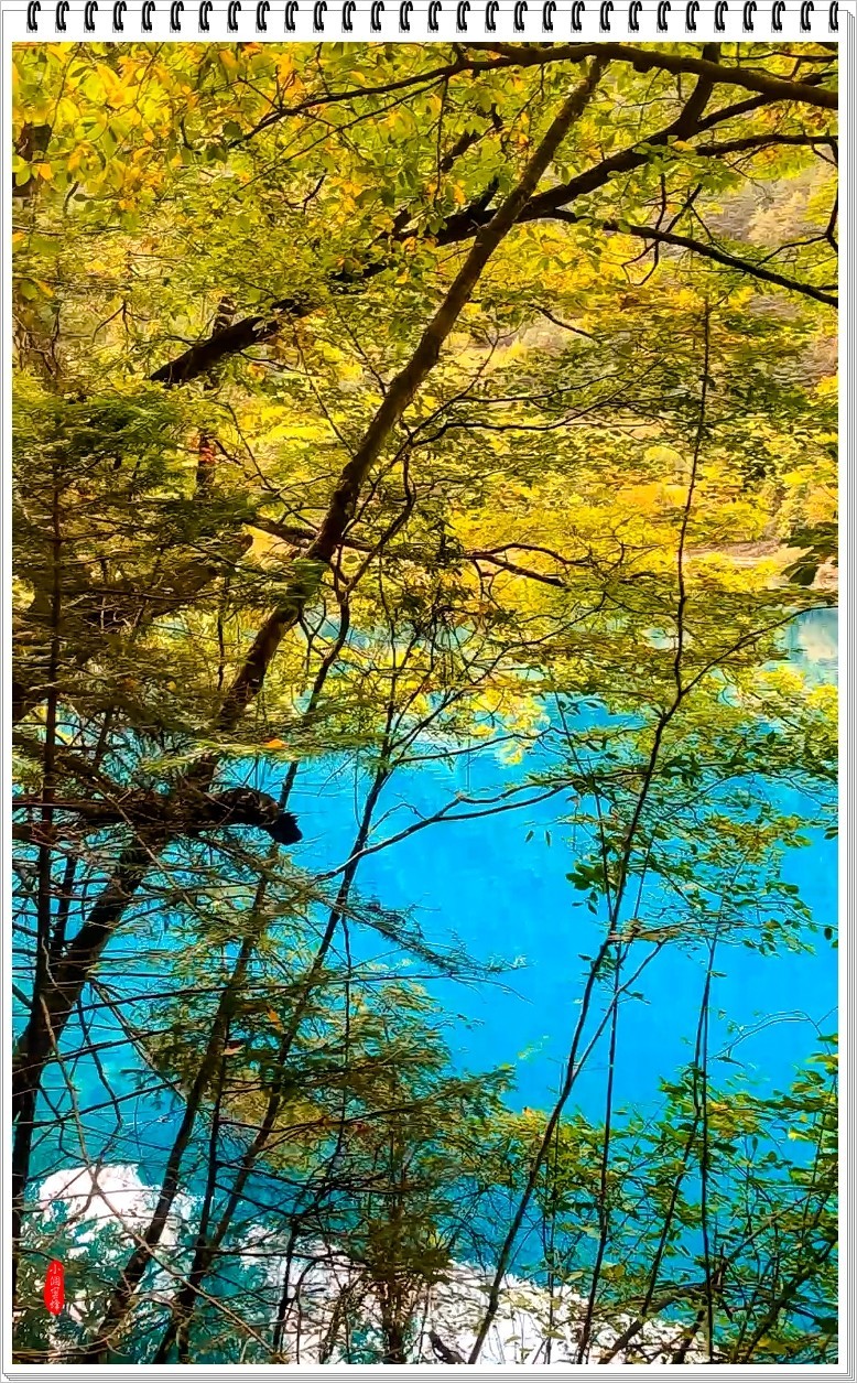 2022年九寨沟随拍-61