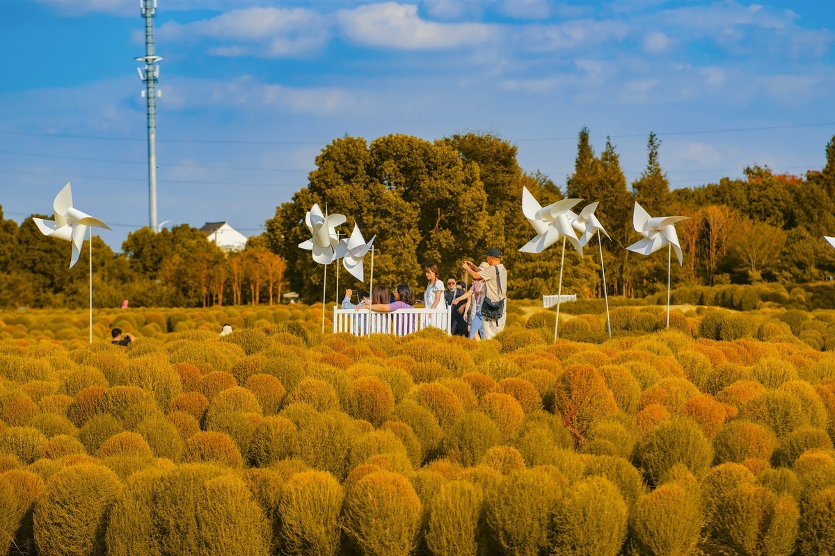 唯卓仕-国产镜头之翘楚