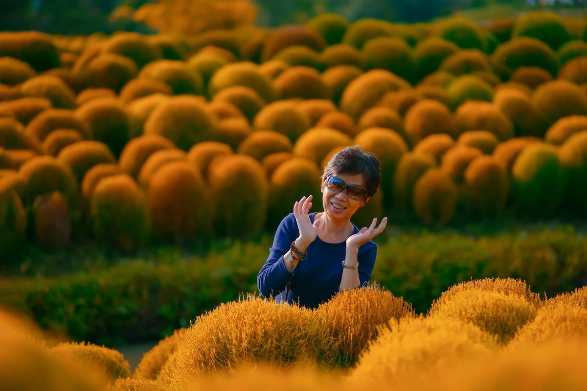 唯卓仕-国产镜头之翘楚