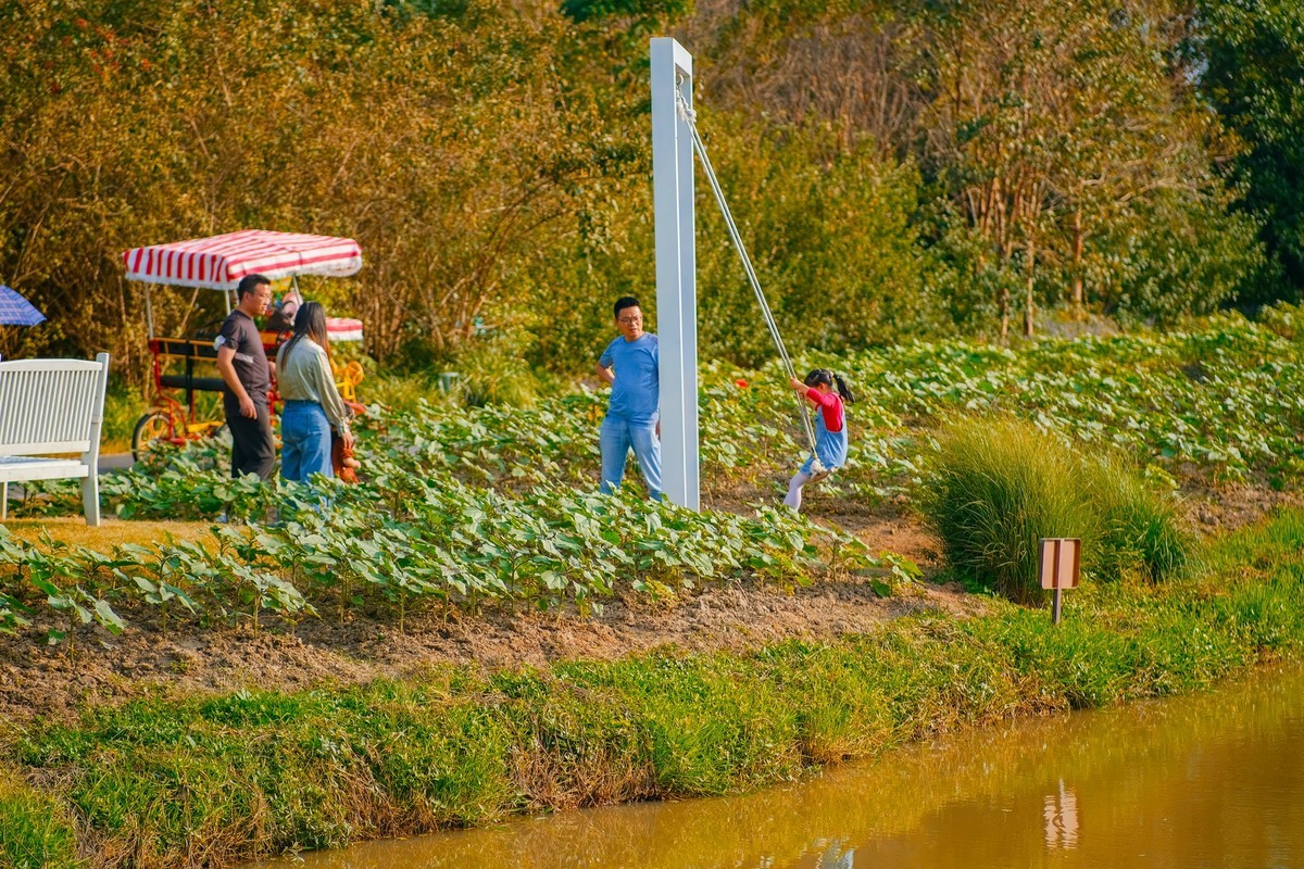 唯卓仕-国产镜头之翘楚