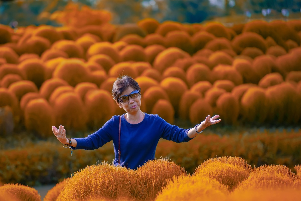 唯卓仕-国产镜头之翘楚