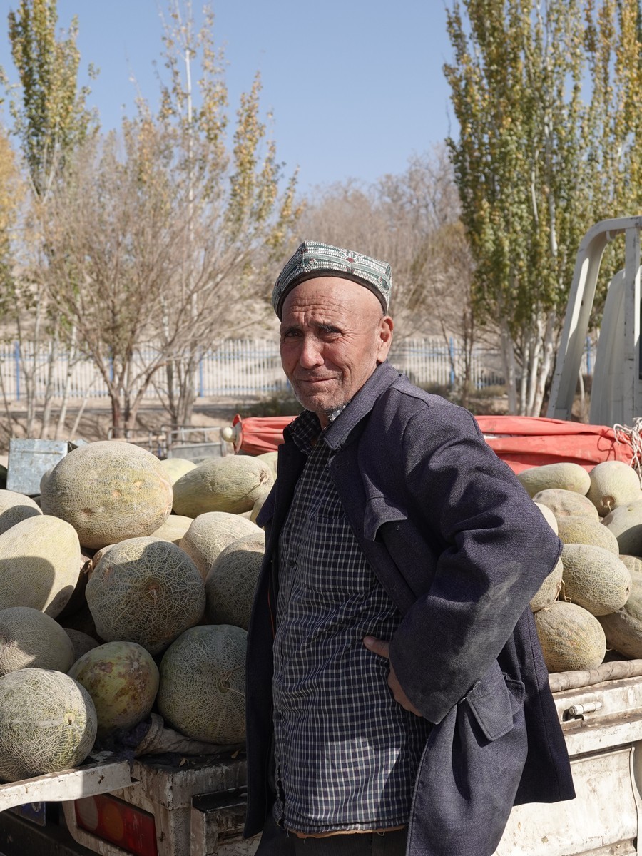 莎车牲畜大巴扎（2）--大牲畜区及其他