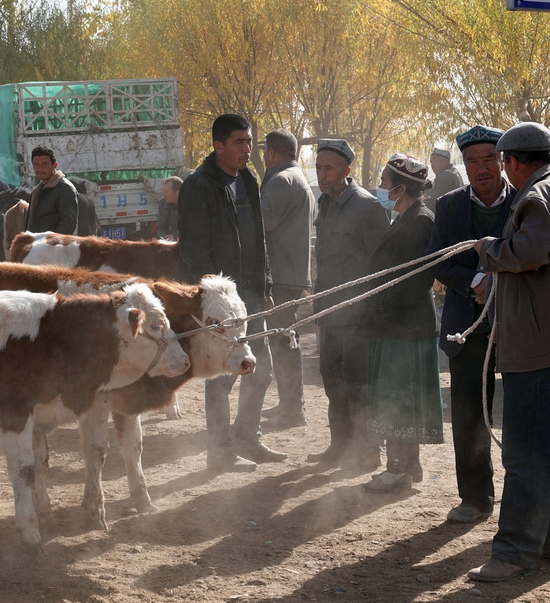 莎车牲畜大巴扎（2）--大牲畜区及其他