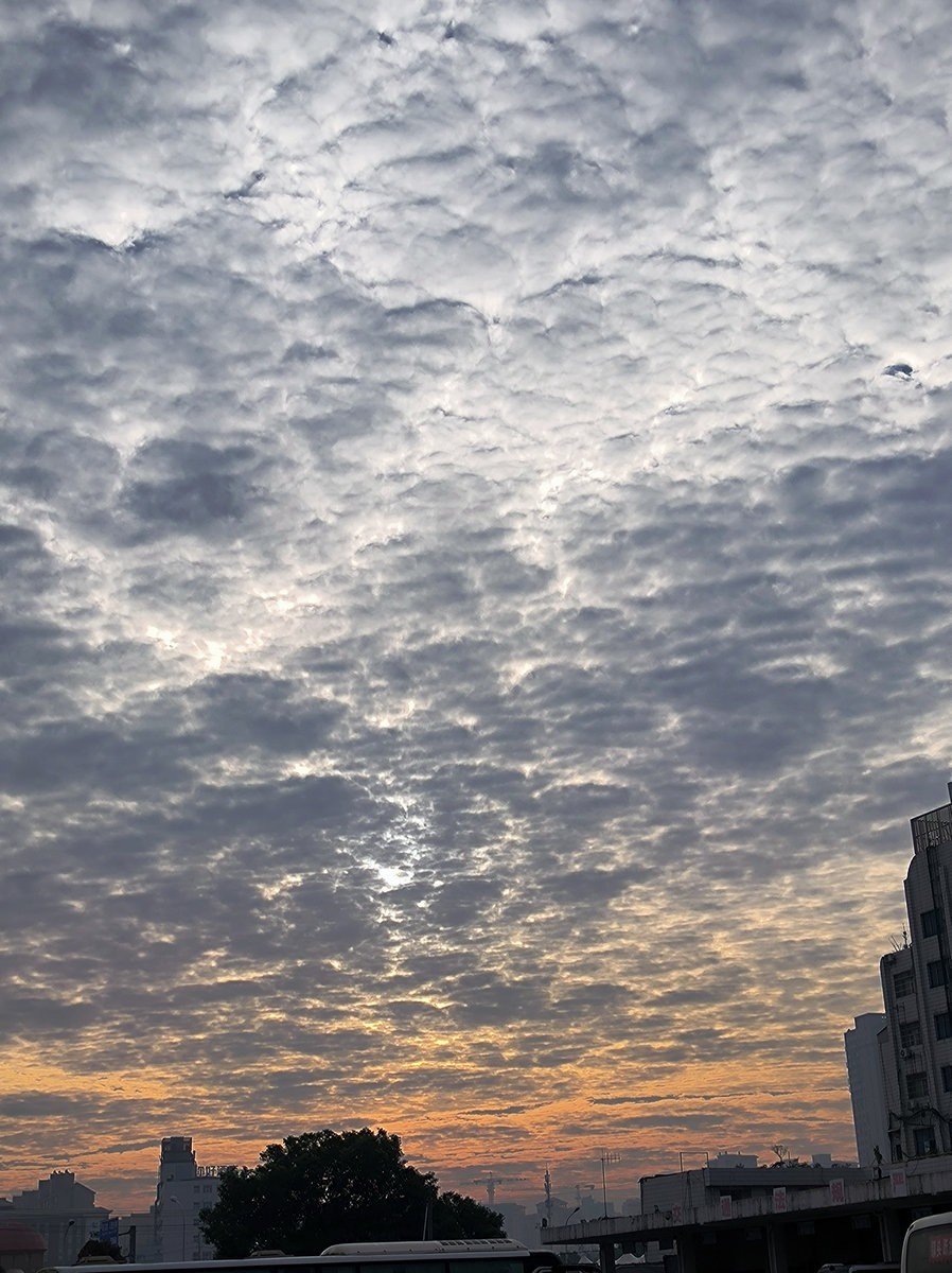 漫步星城 走街串巷（502）减肥训练营