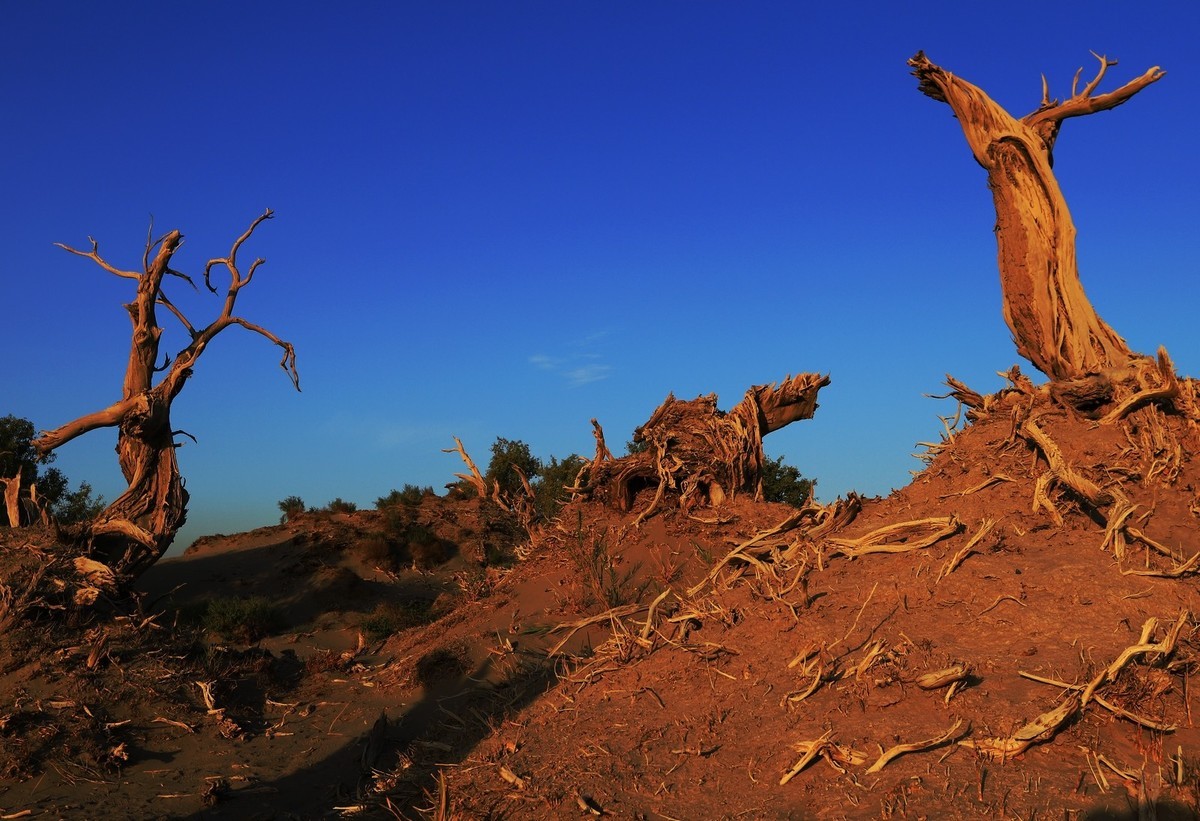 貌似进入了失落的世界（4）