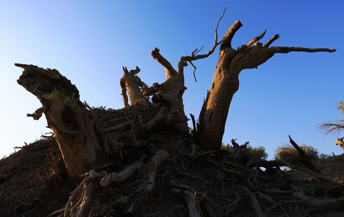 貌似进入了失落的世界（4）